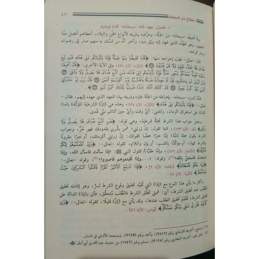 صورة مصغرة 2
